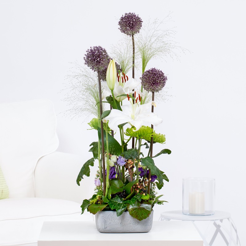 Allium Gesteck