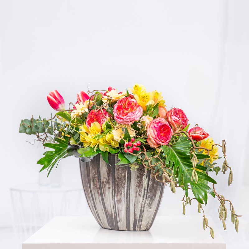 Ranunkelrosen "Vintage Love"