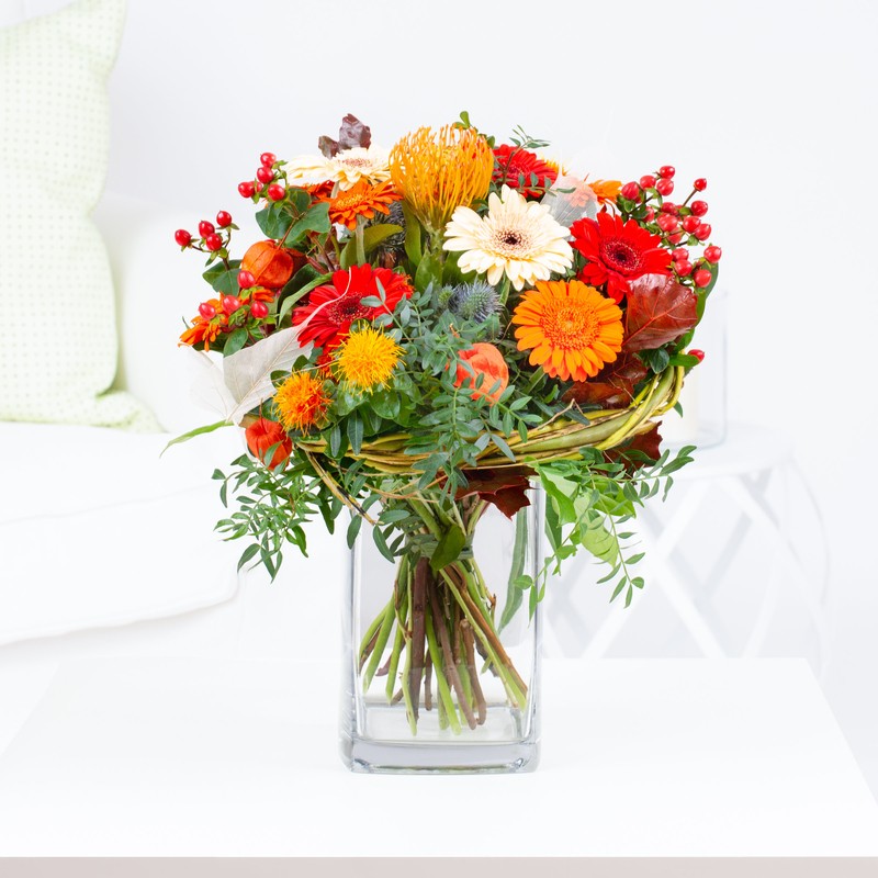 Nadelkissen Protea "Feuer und Flamme"